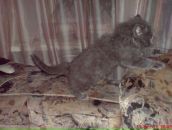 Фотография Ковалевой Натальи