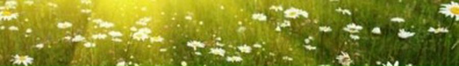 Наталя Шимків фотография #40 (источник - https://vk.com/id67127672)