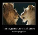 Іван Іванов фотография #38 (источник - https://vk.com/id12286885)