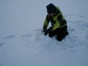 Фотография Дружининой Екатерины