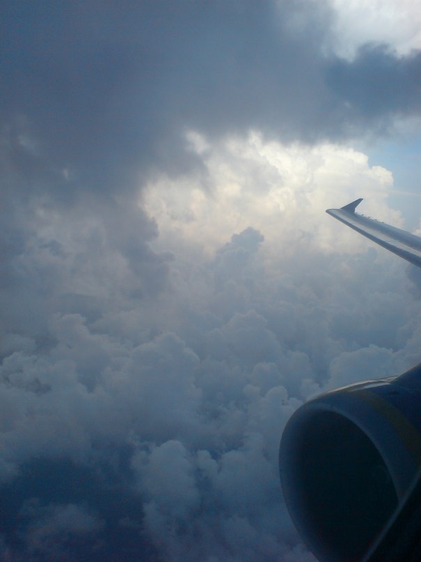 Антон Boxing фотография #25