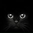 Фотография Малинки Антонины