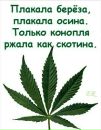 Ельдар Долгатов фотография #31 (источник - https://vk.com/id172694180)
