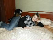 Фотография Пирог Маргариты