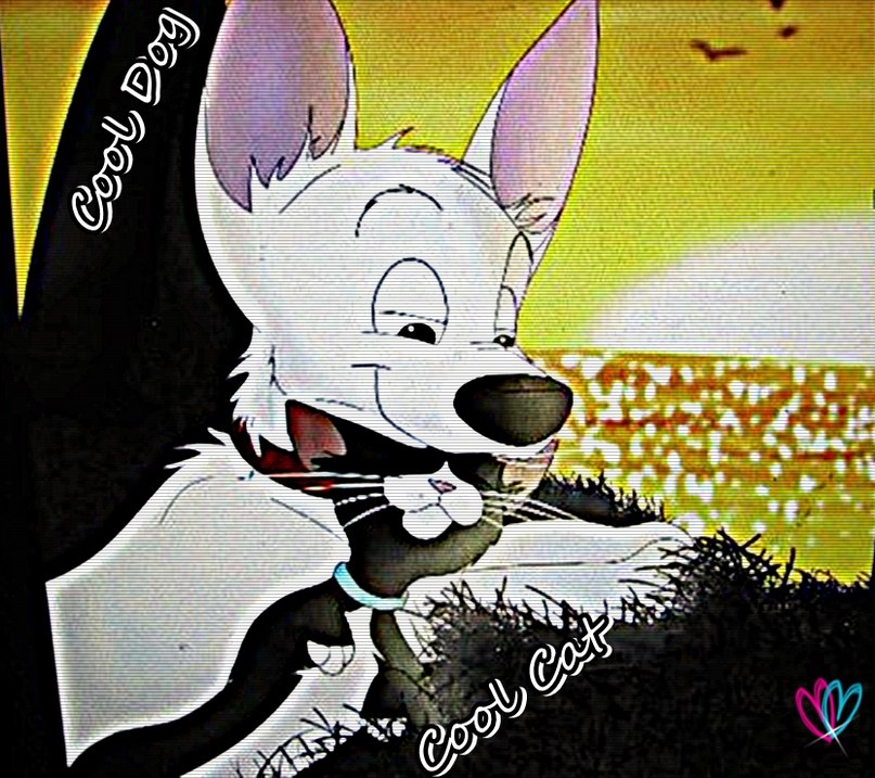 Рил Мэйер фотография #5