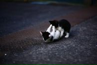 Софья Константиновна фотография #2 (источник - https://vk.com/id40472682)