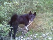 Федір Чесак фотография #34 (источник - https://vk.com/id100963214)