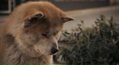 Фотография Носова Олега