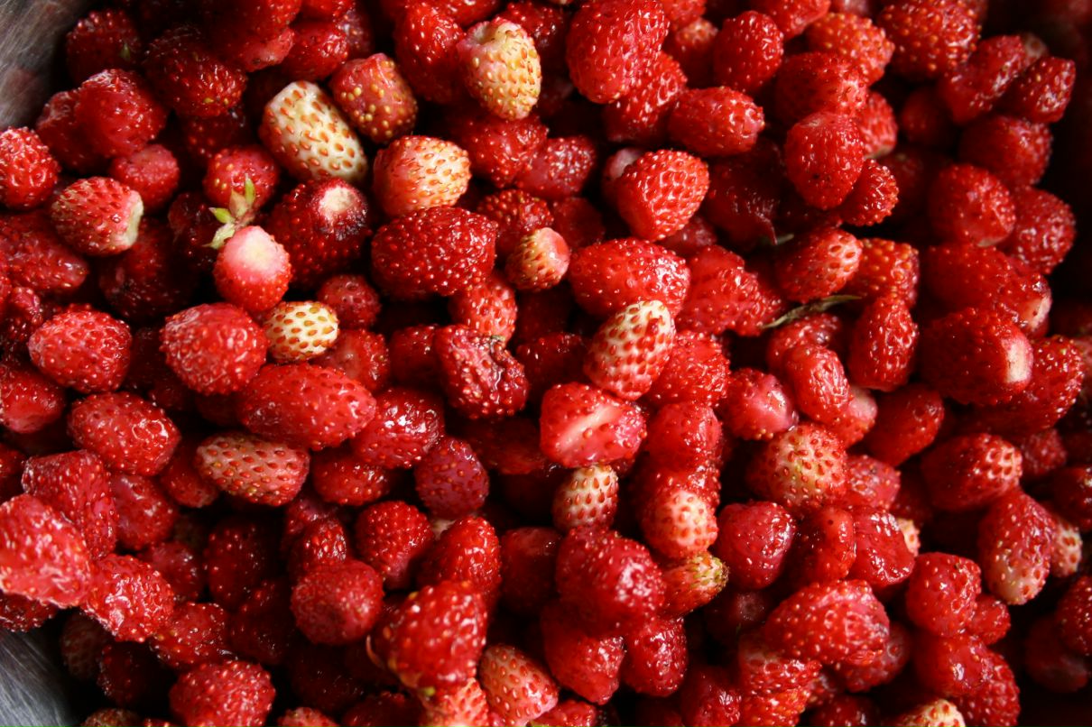 Илья Литаврин фотография #24