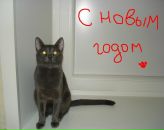 Фотография Мисниковой Татьяны