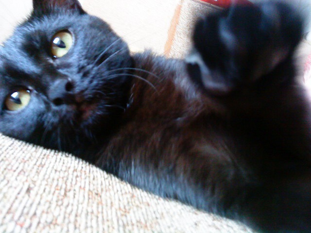 Роман Романенко фотография #17