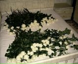 Фотография Черепановой Оли