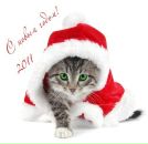 Віктор Тараненко фотография #2 (источник - https://vk.com/id82414964)