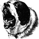 Ігор Охримчук фотография #16 (источник - https://vk.com/id160512943)