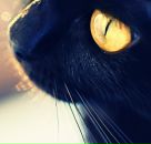 Фотография Журавлевой Александры