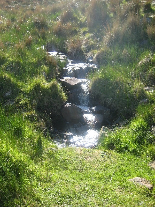 Дмитрий Рекун фотография #24