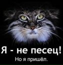 Фотография Мироновой Анастасии