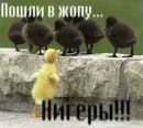 Славік Гудзоватий фотография #24 (источник - https://vk.com/id172585185)