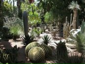 Татьяна Муравьеваа фотография #36 (источник - https://vk.com/id8780001)