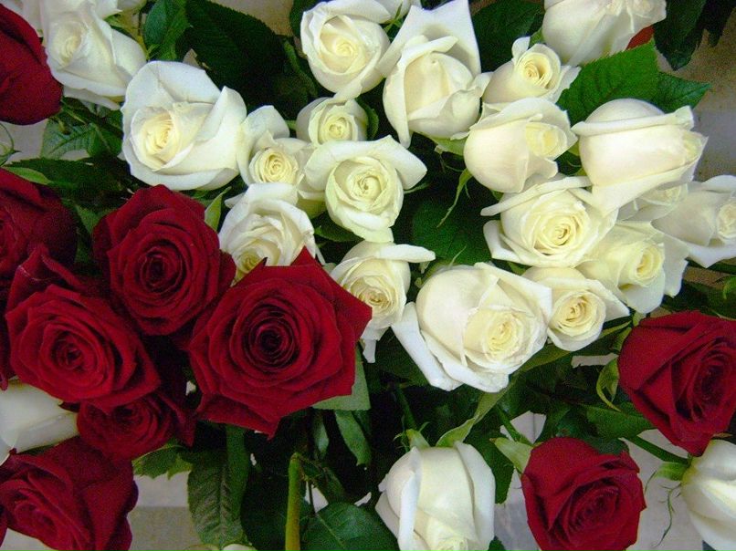 Аяс Куулар фотография #23