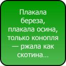Сергій Касюк фотография #47 (источник - https://vk.com/id82272653)