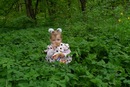 Сергій Худий фотография #29 (источник - https://vk.com/id139385375)