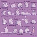 Фотография Дульнев Вадим