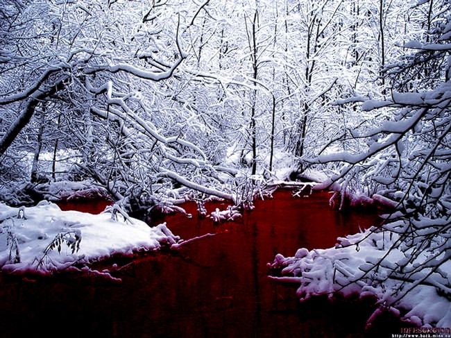Сергей Станский фотография #37