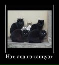 Фотография Искандаровны Малики
