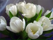 Фотография Яривановой Елены