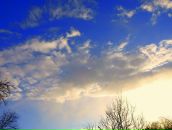 Роман Кріп фотография #35 (источник - https://vk.com/id11141207)