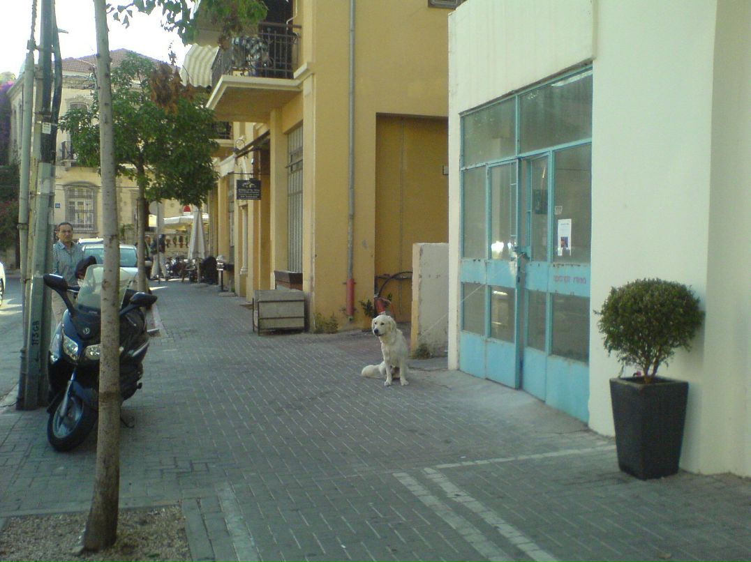 Дмитрий Барсукевич фотография #5