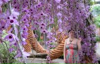 Фотография Березовский Григорий