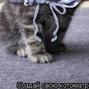 Машенька Ливант фотография #26 (источник - https://vk.com/id122307237)