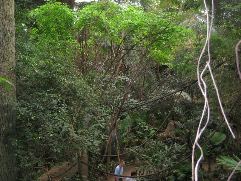 Dimka Abyshkin фотография #27