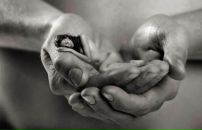 Фотография Поперечнюк Олеси