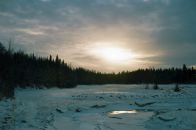 Девид Паркер фотография #15 (источник - https://vk.com/id4767619)