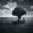 Фотография Кочергиной Киры