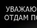 Никита Носов фотография #35 (источник - https://vk.com/id153983577)