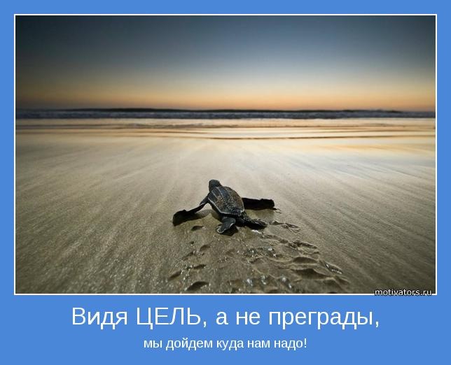Сергей Козлов фотография #24