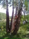 Фотография Черняевой Ксении