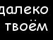 Вася Скіпар фотография #23 (источник - https://vk.com/id135060981)
