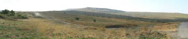 Дарья Попова фотография #30 (источник - https://vk.com/id1113792)