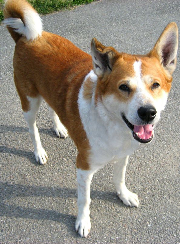 Алекс Рогачёв фотография #35