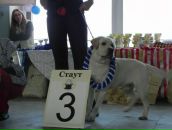 Фотография Шевчук Анны