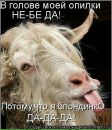 Фотография Воронцовой Александры