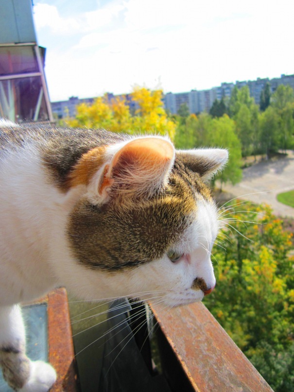 Ольга Гребенникова фотография #39