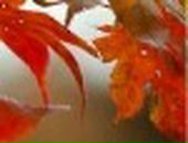 Андрій Квасниця фотография #11 (источник - https://vk.com/id23147799)