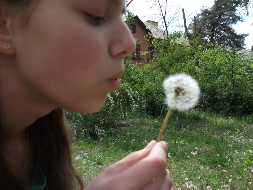 Moonlit Night фотография #42