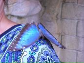 Фотография Бурлаковой Галии